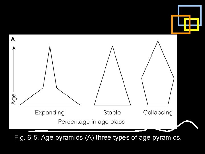 Fig. 6 -5. Age pyramids (A) three types of age pyramids. 
