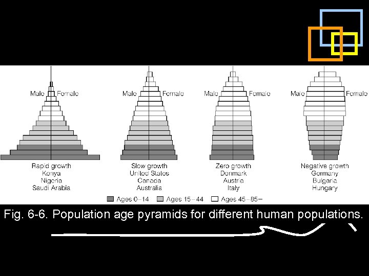 Fig. 6 -6. Population age pyramids for different human populations. 