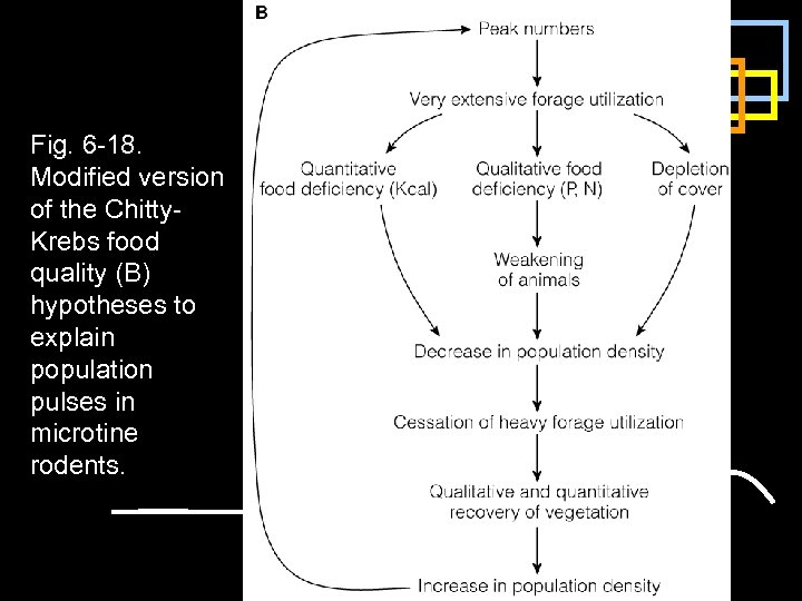 Fig. 6 -18. Modified version of the Chitty. Krebs food quality (B) hypotheses to