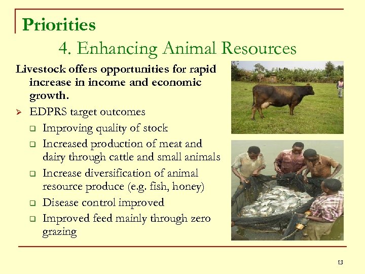Priorities 4. Enhancing Animal Resources Livestock offers opportunities for rapid increase in income and