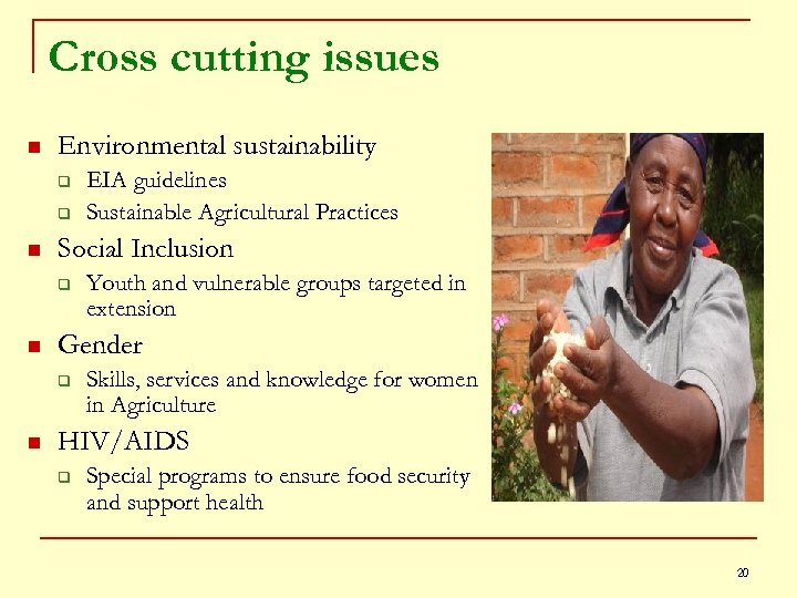 Cross cutting issues n Environmental sustainability q q n Social Inclusion q n Youth