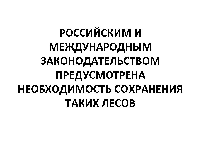 РОССИЙСКИМ И МЕЖДУНАРОДНЫМ ЗАКОНОДАТЕЛЬСТВОМ ПРЕДУСМОТРЕНА НЕОБХОДИМОСТЬ СОХРАНЕНИЯ ТАКИХ ЛЕСОВ 