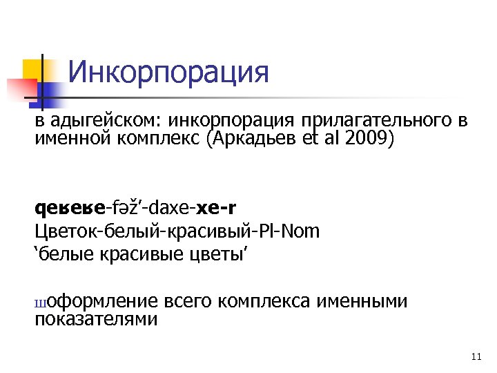 Инкорпорация в адыгейском: инкорпорация прилагательного в именной комплекс (Аркадьев et al 2009) qeʁeʁe-fəž’-daxe-xe-r Цветок-белый-красивый-Pl-Nom