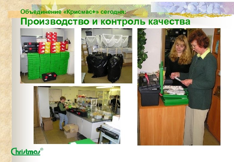 Объединение «Крисмас+» сегодня: Производство и контроль качества 