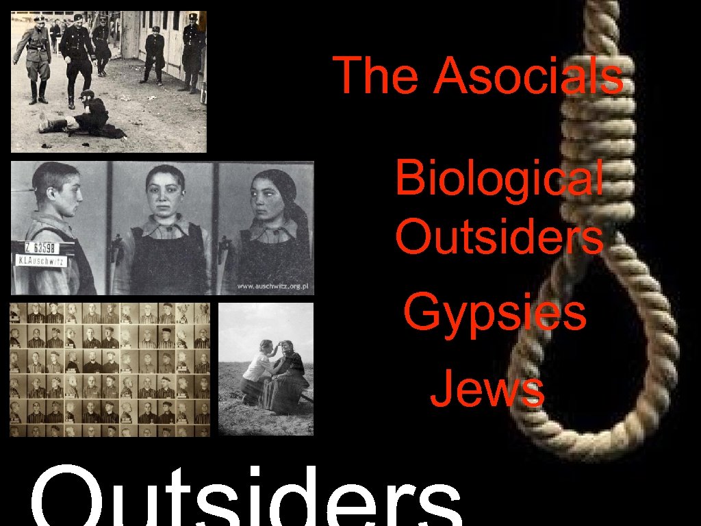 The Asocials Biological Outsiders Gypsies Jews 