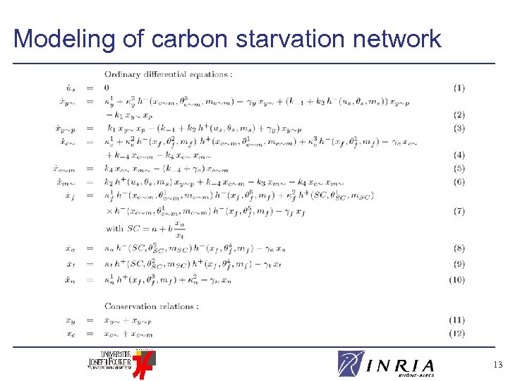Modeling of carbon starvation network 13 