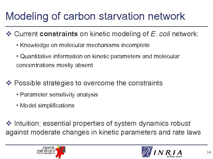 Modeling of carbon starvation network v Current constraints on kinetic modeling of E. coli
