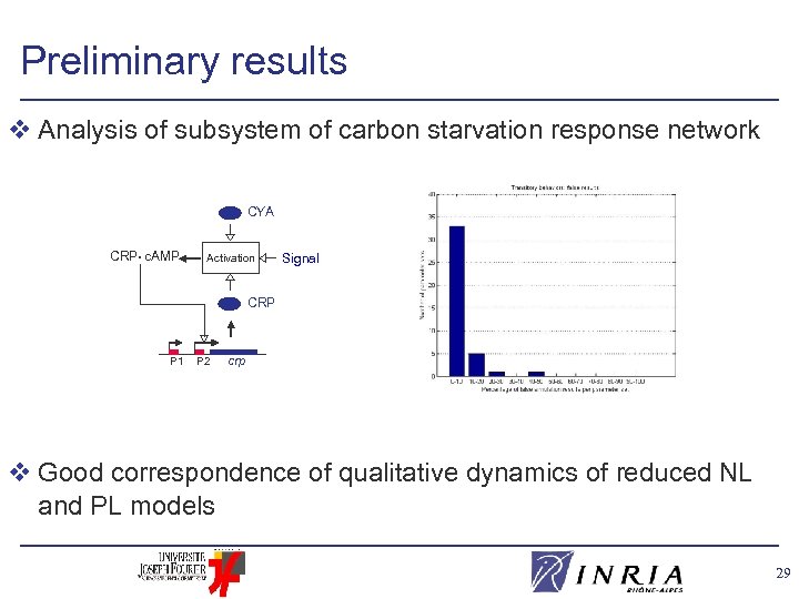 Preliminary results v Analysis of subsystem of carbon starvation response network CYA CRP •
