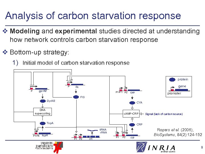 Analysis of carbon starvation response v Modeling and experimental studies directed at understanding how