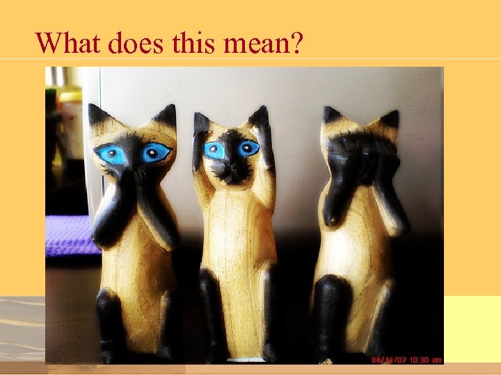 What does this mean? 