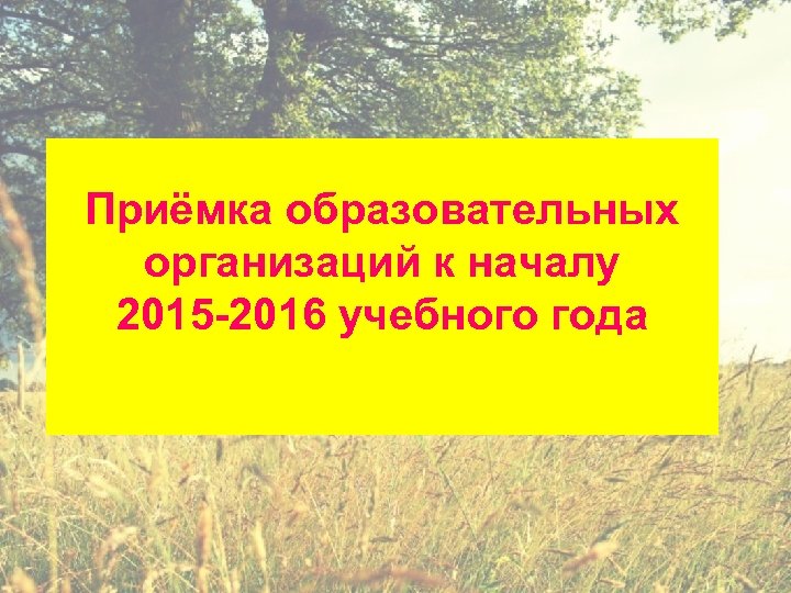 Приёмка образовательных организаций к началу 2015 -2016 учебного года 