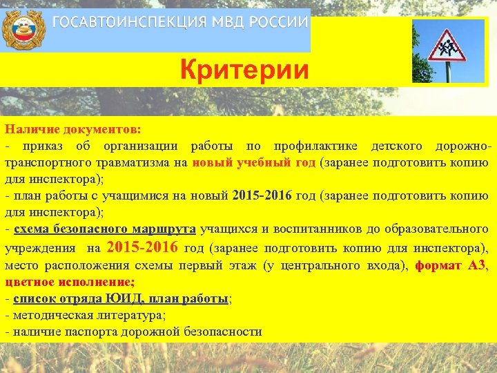 Критерии Наличие документов: - приказ об организации работы по профилактике детского дорожнотранспортного травматизма на