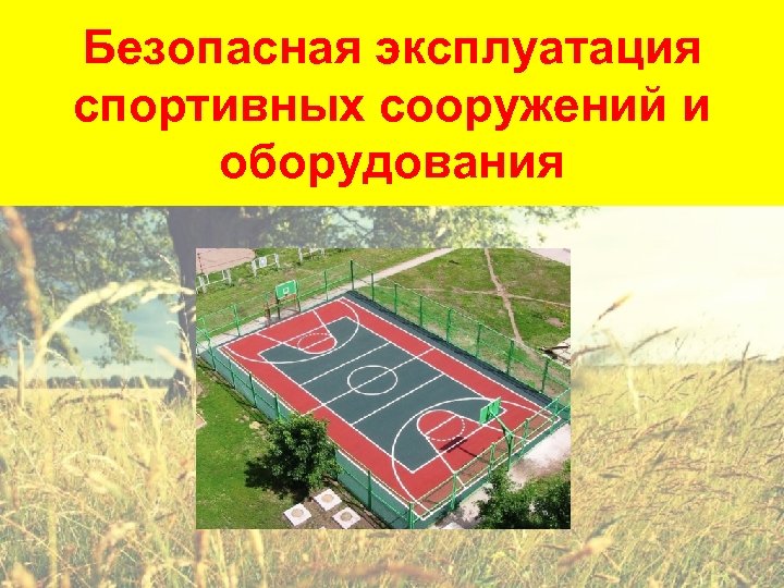 Безопасная эксплуатация спортивных сооружений и оборудования 