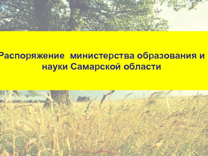 Распоряжение министерства образования и науки Самарской области 