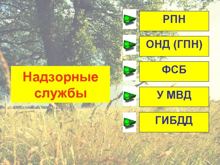 РПН ОНД (ГПН) Надзорные службы ФСБ У МВД ГИБДД 