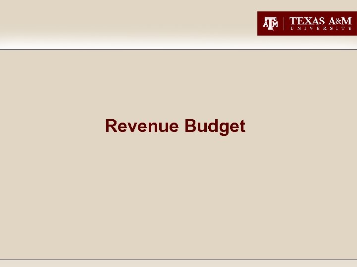 Revenue Budget 