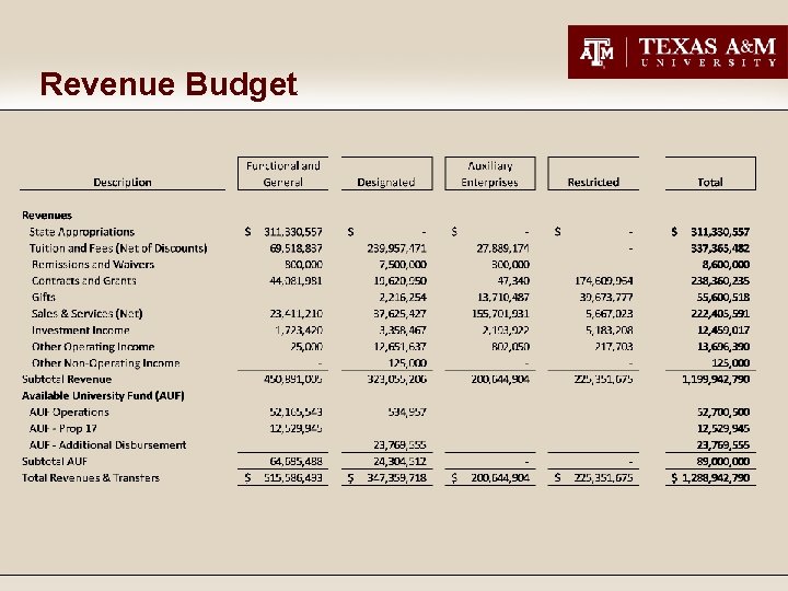 Revenue Budget 