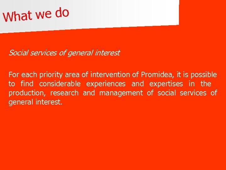 hat we do W Social services of general interest For each priority area of