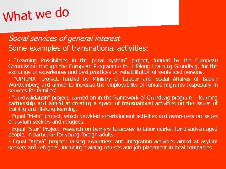 hat we do W Social services of general interest Some examples of transnational activities:
