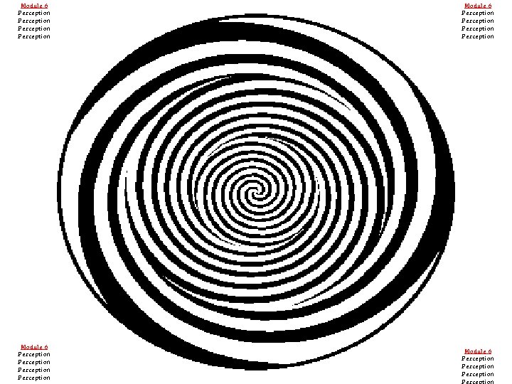 Module 6 Perception Perception Perception Perception 