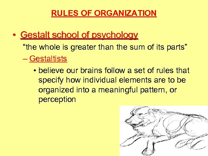 RULES OF ORGANIZATION • Gestalt school of psychology “the whole is greater than the