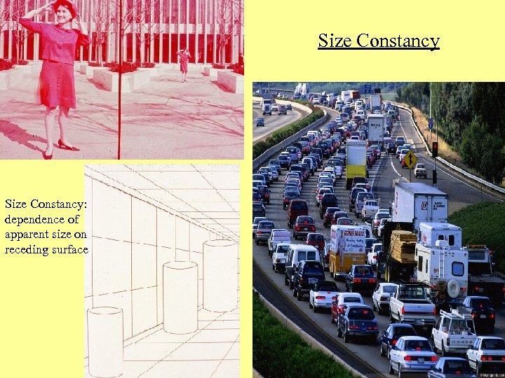 Size Constancy: dependence of apparent size on receding surface 
