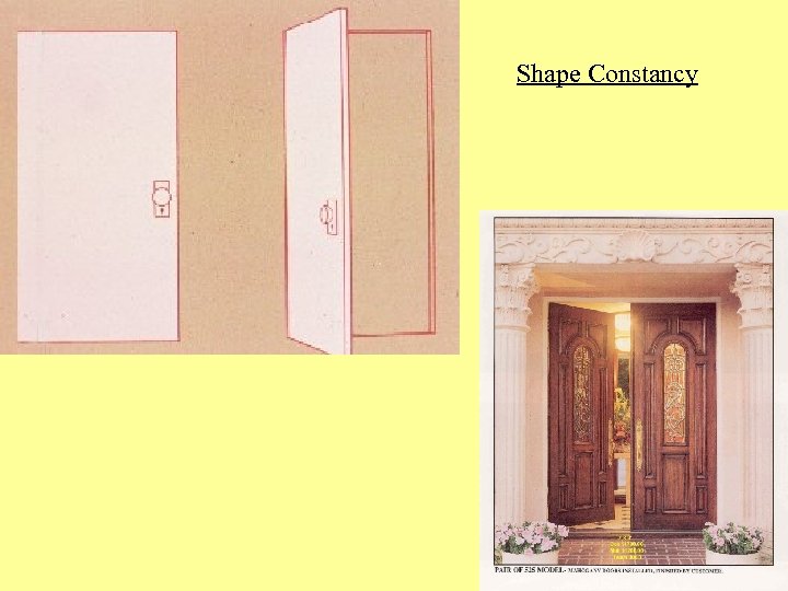 Shape Constancy 