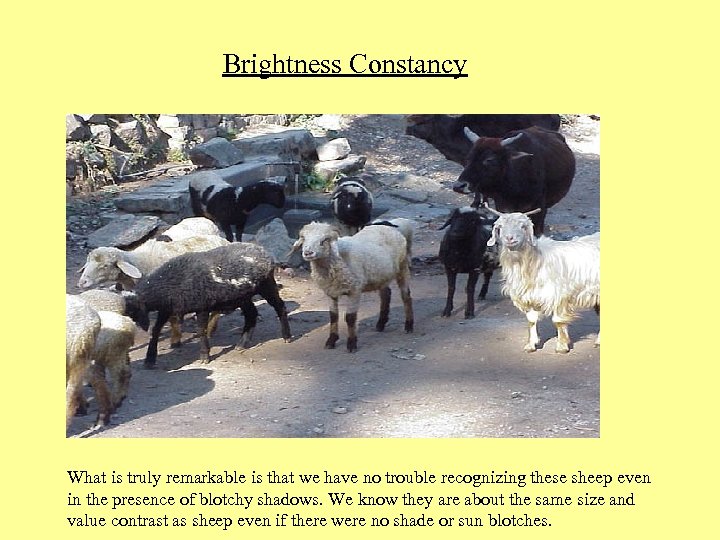 Brightness Constancy What is truly remarkable is that we have no trouble recognizing these