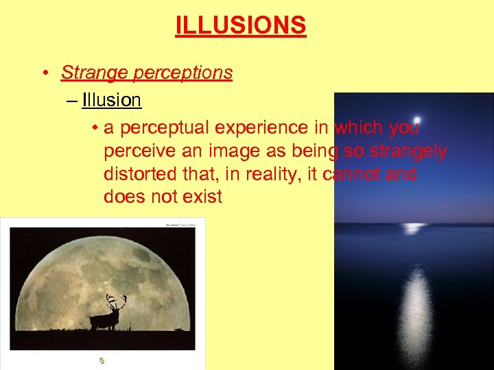 ILLUSIONS • Strange perceptions – Illusion • a perceptual experience in which you perceive