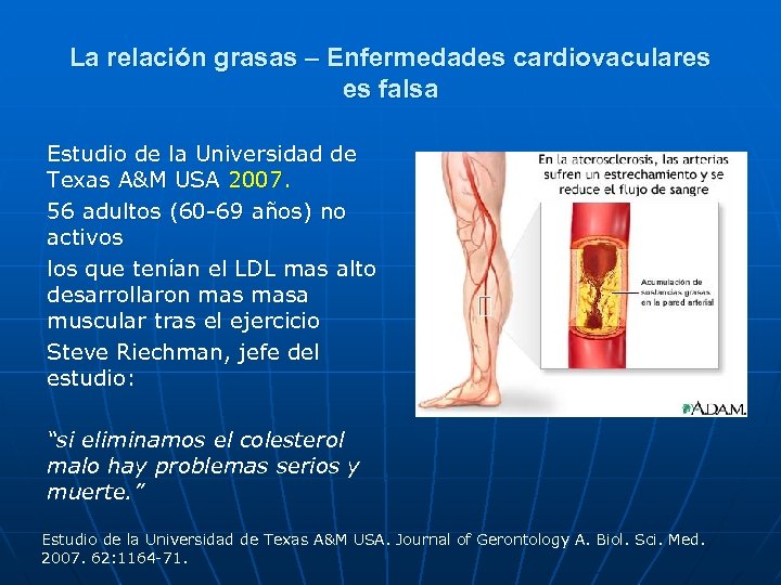 La relación grasas – Enfermedades cardiovaculares es falsa Estudio de la Universidad de Texas