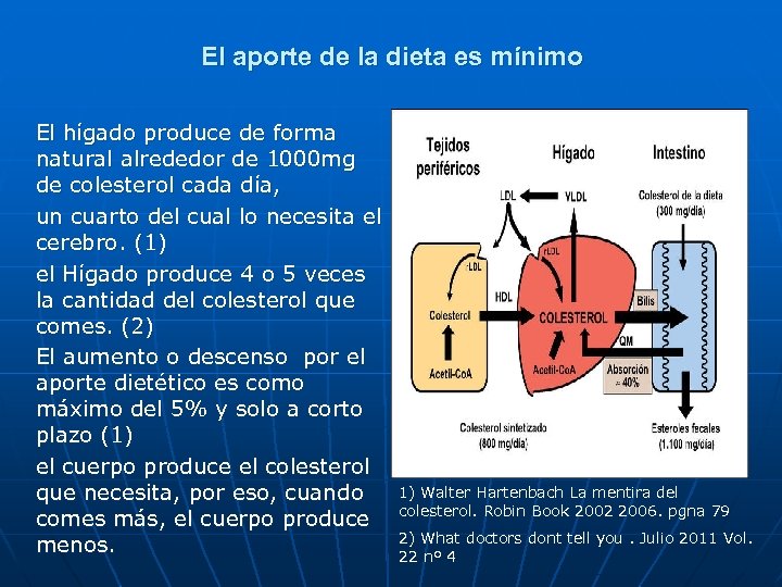 El aporte de la dieta es mínimo El hígado produce de forma natural alrededor