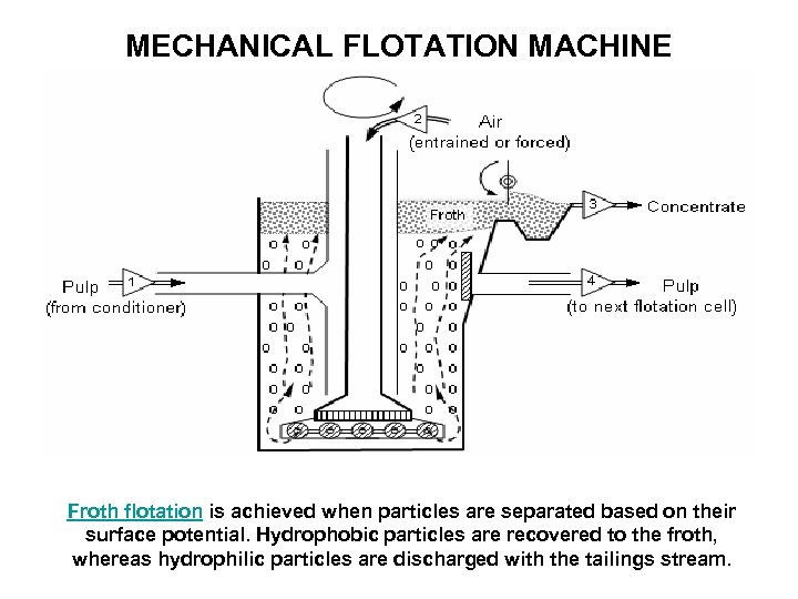 MECHANICAL FLOTATION MACHINE Froth flotation is achieved when particles are separated based on their