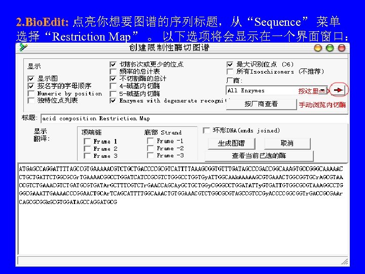 2. Bio. Edit: 点亮你想要图谱的序列标题，从“Sequence” 菜单 选择“Restriction Map” 。 以下选项将会显示在一个界面窗口： 