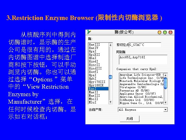 3. Restriction Enzyme Browser (限制性内切酶浏览器 ) 　　从核酸序列中得到内 切酶谱时，显示酶的生产 公司是很有用的。通过在 内切酶图谱中选择制造厂 商和按下按钮，可以手动 浏览内切酶。你也可以通 过选择“Options ”菜单