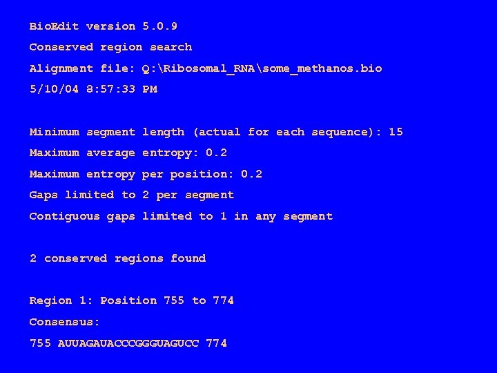 Bio. Edit version 5. 0. 9 Conserved region search Alignment file: Q: Ribosomal_RNAsome_methanos. bio