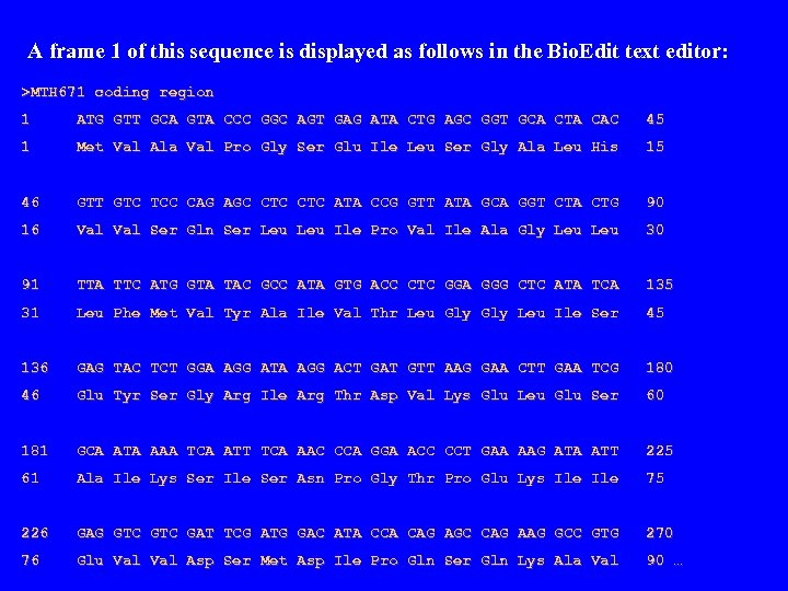 A frame 1 of this sequence is displayed as follows in the Bio. Edit