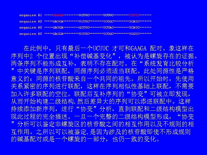 organism #1 ‑‑‑‑‑GAAGA‑‑‑‑‑‑‑‑‑UCUUC‑‑‑‑‑‑‑‑UCUUC‑‑‑‑‑‑‑‑‑UCUUC‑‑‑‑‑‑‑ organism #2 ‑‑‑‑‑GAUGA‑‑‑‑‑‑‑‑‑UCUUC‑‑‑‑‑‑‑‑UCUGC‑‑‑‑‑‑‑‑‑UCAUC‑‑‑‑‑‑‑ organism #2 ‑‑‑‑‑GAUGA‑‑‑‑‑‑‑‑‑GCUUC‑‑‑‑‑‑‑‑UCUAC‑‑‑‑‑‑‑‑‑UCAUC‑‑‑‑‑‑‑ organism #2 ‑‑‑‑‑GACGA‑‑‑‑‑‑‑‑‑UCUUC‑‑‑‑‑‑‑‑UCUGC‑‑‑‑‑‑‑‑‑UCGUC‑‑‑‑‑‑‑ 　　在此例中，只有最后一个UCUUC 才可和GAAGA