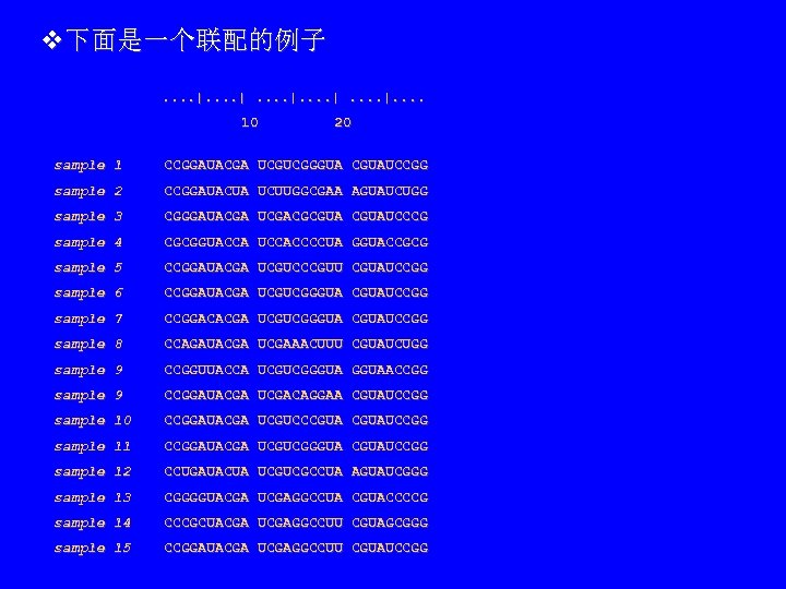 v下面是一个联配的例子 　　　　　　　. . . . |. . 10 20 sample 1 CCGGAUACGA UCGUCGGGUA CGUAUCCGG