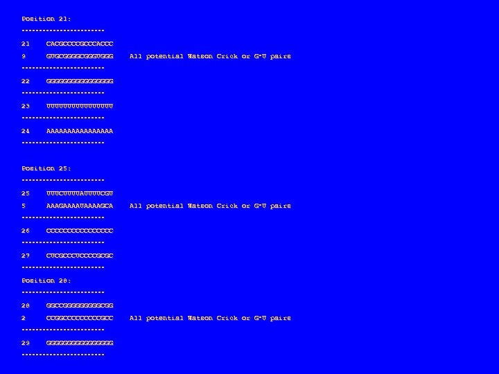 Position 21: ‑‑‑‑‑‑‑‑‑‑‑‑ 21 CACGCCCACCC 9 GUGCGGGUGGG All potential Watson Crick or G‑U pairs
