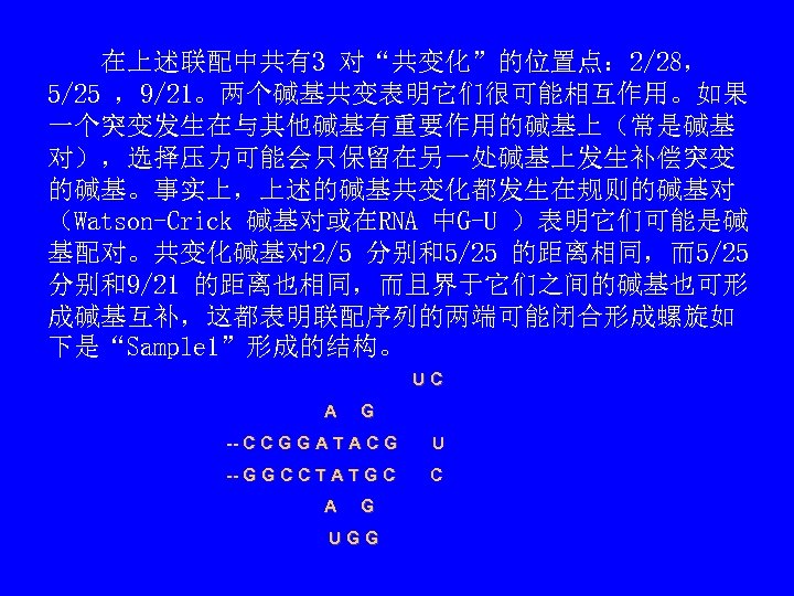 　　在上述联配中共有3 对“共变化”的位置点： 2/28， 5/25 ，9/21。两个碱基共变表明它们很可能相互作用。如果 一个突变发生在与其他碱基有重要作用的碱基上（常是碱基 对），选择压力可能会只保留在另一处碱基上发生补偿突变 的碱基。事实上，上述的碱基共变化都发生在规则的碱基对 （Watson-Crick 碱基对或在RNA 中G-U ）表明它们可能是碱 基配对。共变化碱基对 2/5