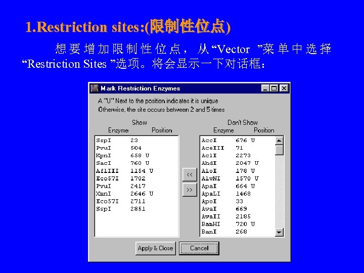 1. Restriction sites: (限制性位点) 　 　 想 要 增 加 限 制 性 位