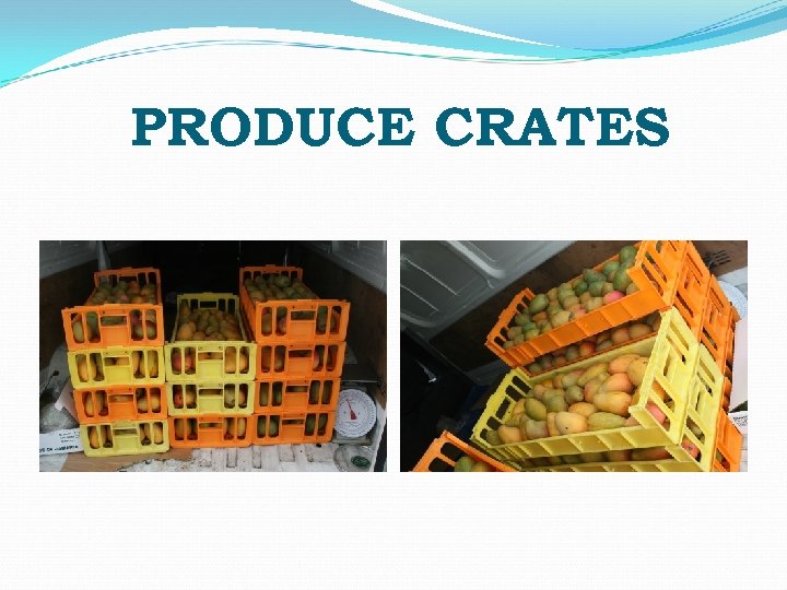 PRODUCE CRATES 