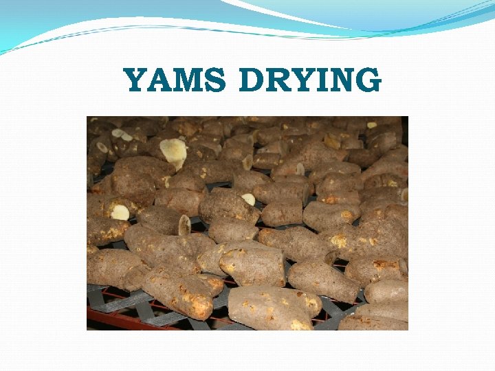 YAMS DRYING 