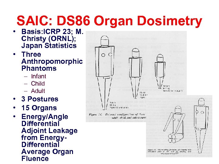SAIC: DS 86 Organ Dosimetry • Basis: ICRP 23; M. Christy (ORNL); Japan Statistics