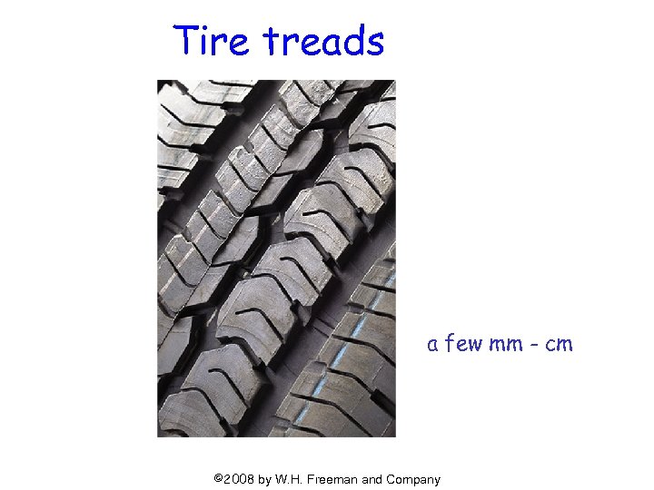 Tire treads a few mm - cm © 2008 by W. H. Freeman and