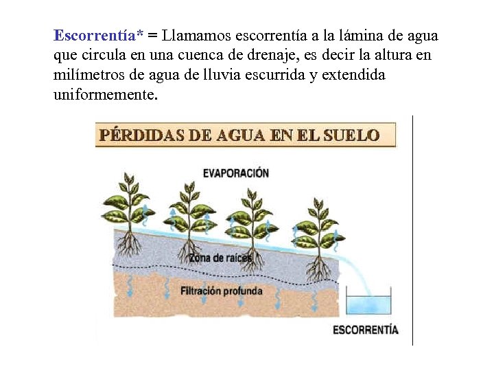 Escorrentía* = Llamamos escorrentía a la lámina de agua que circula en una cuenca