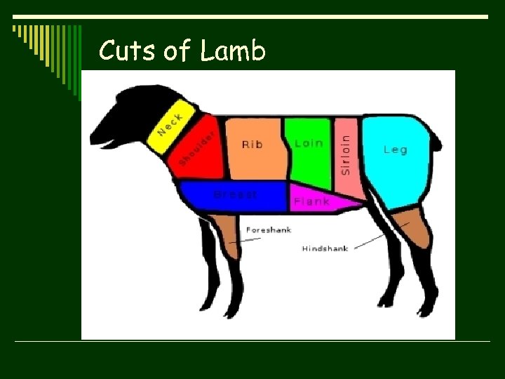 Cuts of Lamb 