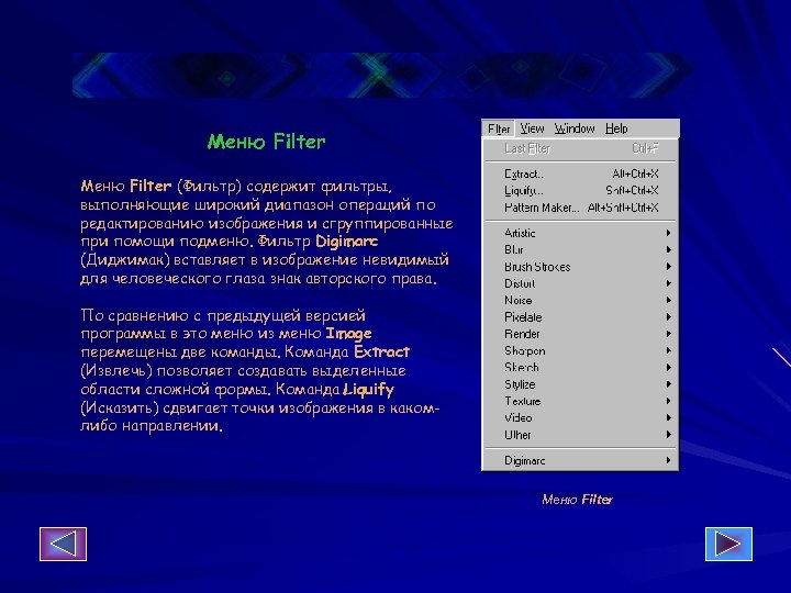 Меню Filter (Фильтр) содержит фильтры, выполняющие широкий диапазон операций по редактированию изображения и сгруппированные