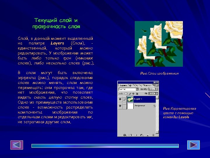 Текущий слой и прозрачность слоя Слой, в данный момент выделенный на палитре Layers (Слои),