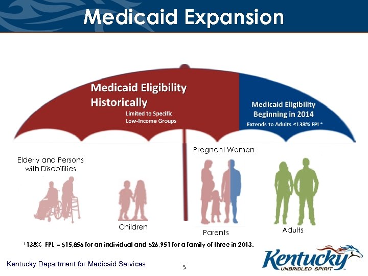 Medicaid Expansion Pregnant Women Elderly and Persons with Disabilities Children Parents *138% FPL =